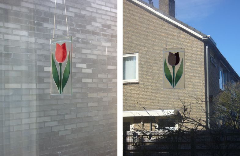 Has the tulip changed color?